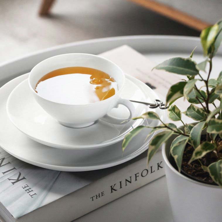 Фарфор Seltmann